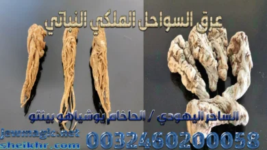 عرق السواحل الملكي النباتي