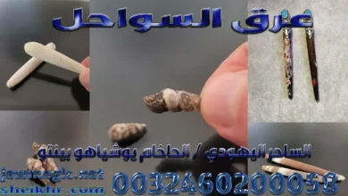 عرق السواحل