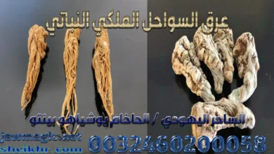 عرق السواحل الملكي النباتي